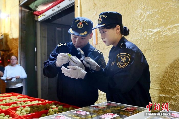 广东廉江荔枝香飘11国 今年以来出口量同比增5倍