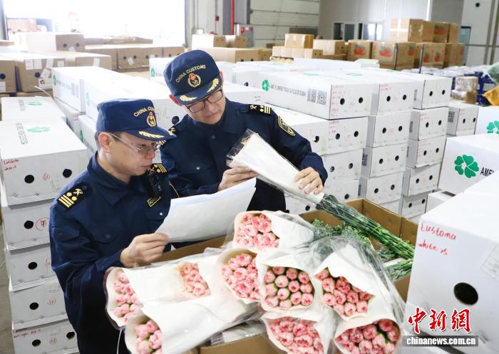 2025年云南鲜切花出口12.2亿元 连续7年全国第一