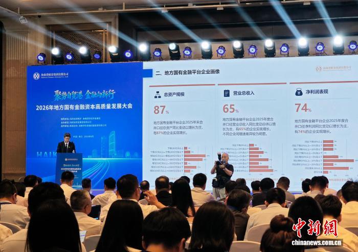 白皮书披露：地方国有金融平台“重仓”科技金融