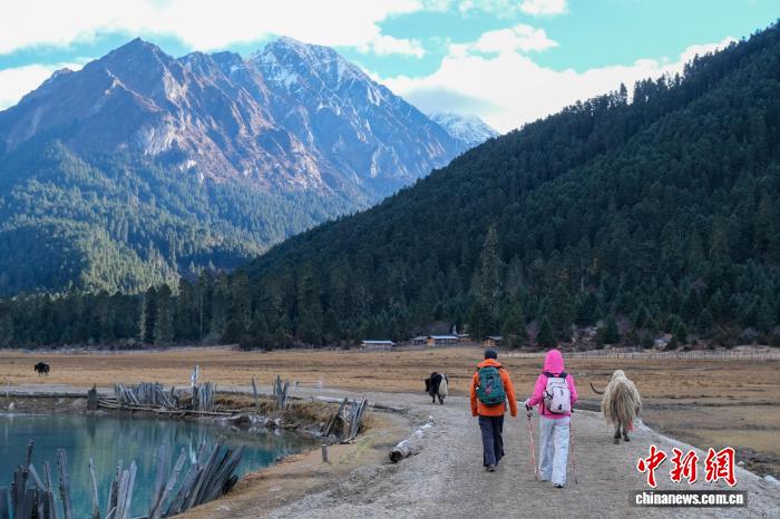 西藏农牧民“执掌”乡村旅游迎“五一”