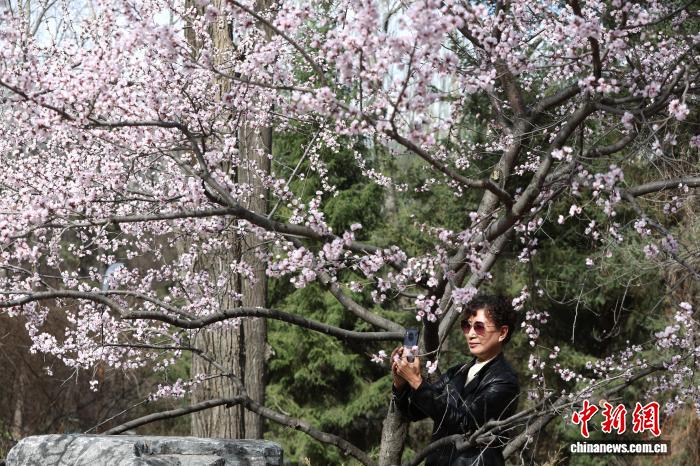 青海西宁：文体商旅融合点燃五月高原消费热潮