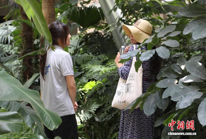 会“十八般武艺”懂“情绪价值” “深度游”催热民宿管家新赛道