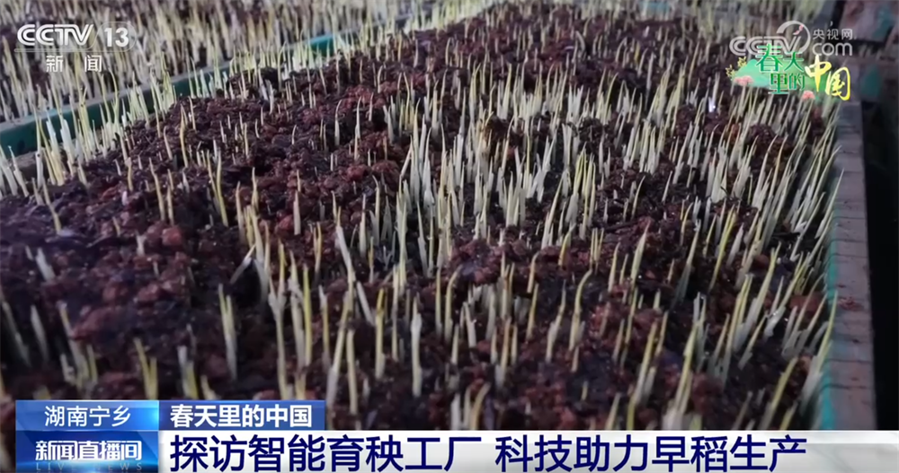 科技加持让春耕春管奏响“交响曲” 现代农业向新向优为好“丰”