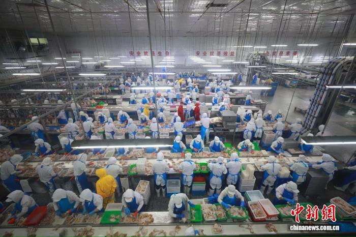 辽宁台安白羽肉鸡产业形成完整闭环产业链 带动2.6万人就业