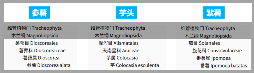 你吃了这么多年的“香芋味”，居然都是假的？