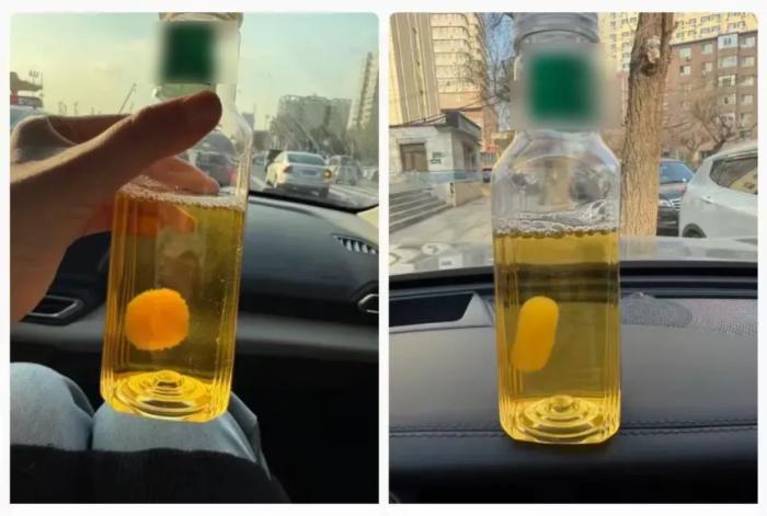 让年轻人集体上头的“茶菌球”，到底什么来头？劝你千万不要试