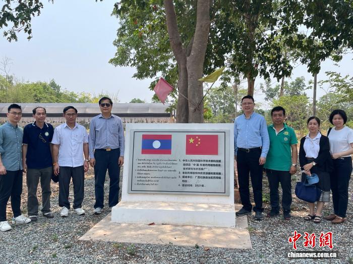 广西与老挝积极推进传统医药领域合作