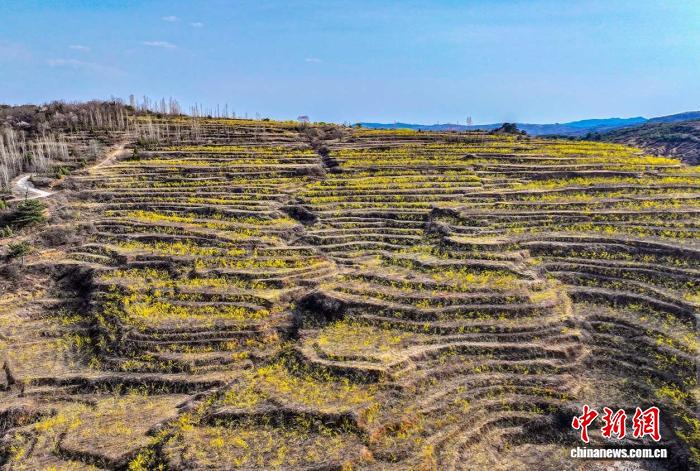 山西晋城解锁健康新范式：守正创