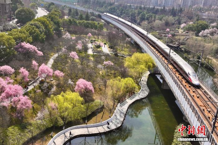 花粉过敏是不是免疫力下降？医生：这是认识误区