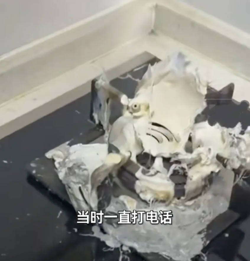 这种锅放到燃气灶上会烧化，千万别尝试！