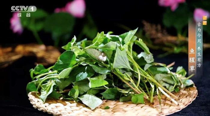 它是餐桌上的“天然抗生素” 夏天这样吃正合适