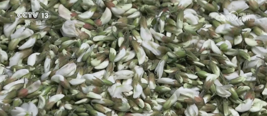 时令“漂亮饭”将生活仪式感拉满 这份春日鲜花入馔指南请收好