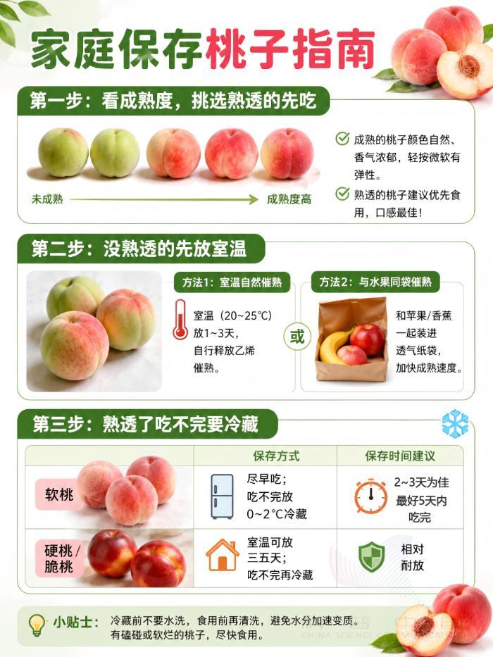 挑桃子不能只看“红不红”，这些