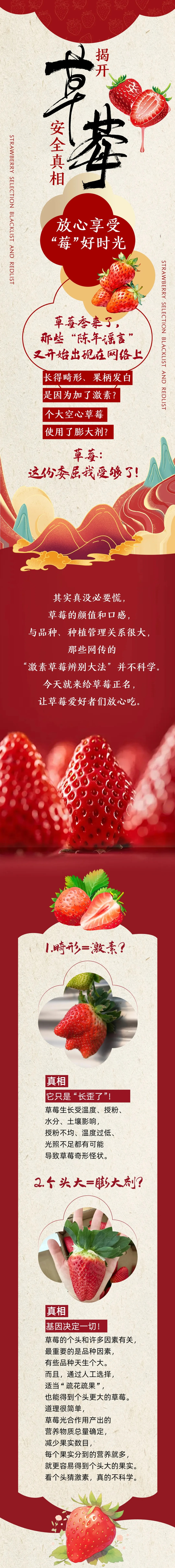 一图读懂 | 关于草莓的真相，你不放心的一次讲清