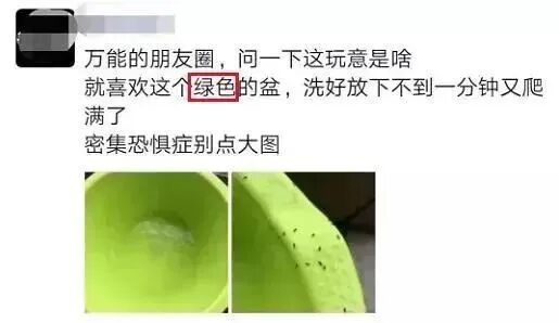 春夏季节常见的小虫子又来了 今天起穿衣请调整一下