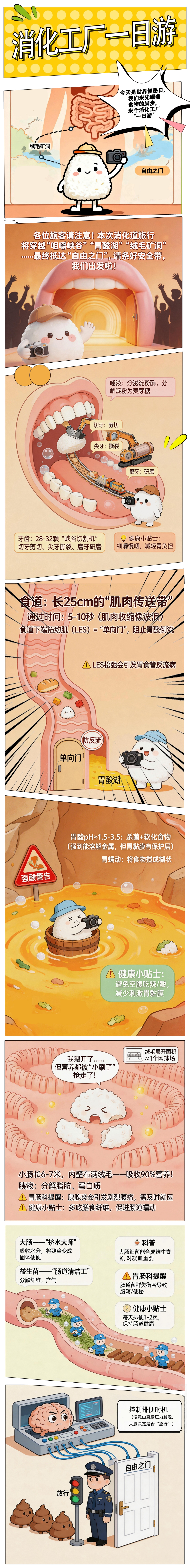 世界便秘日，我们谈谈“下面”的