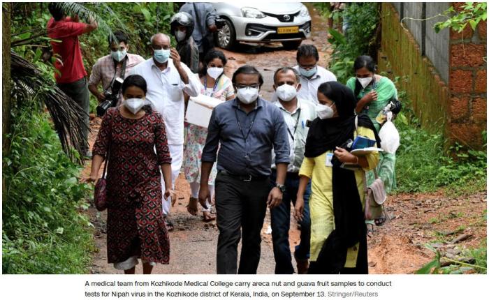 印度出现尼帕病毒疫情，医生：预防关键在于切断接触传播链