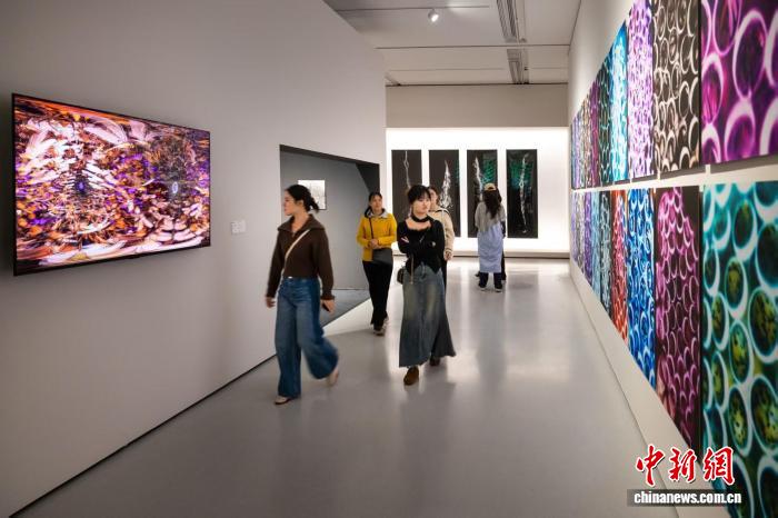 汇聚全球80余位艺术家作品  “广州影像三年展2025”开幕