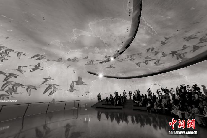 艺术家埃斯·德芙琳亚洲首展深圳湾文化广场启幕