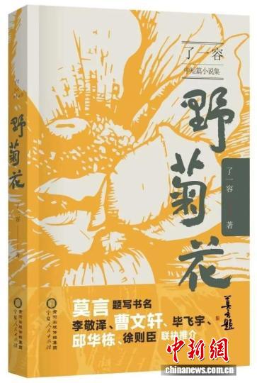 从《圈马谷》出发 宁夏作家了一容小说集《野菊花》充盈西部美学
