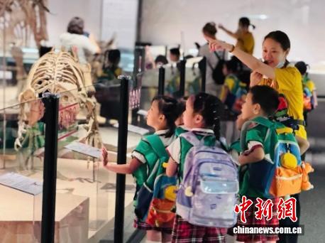 “龙吟九州·中国恐龙大展”在上海自然博物馆圆满闭幕