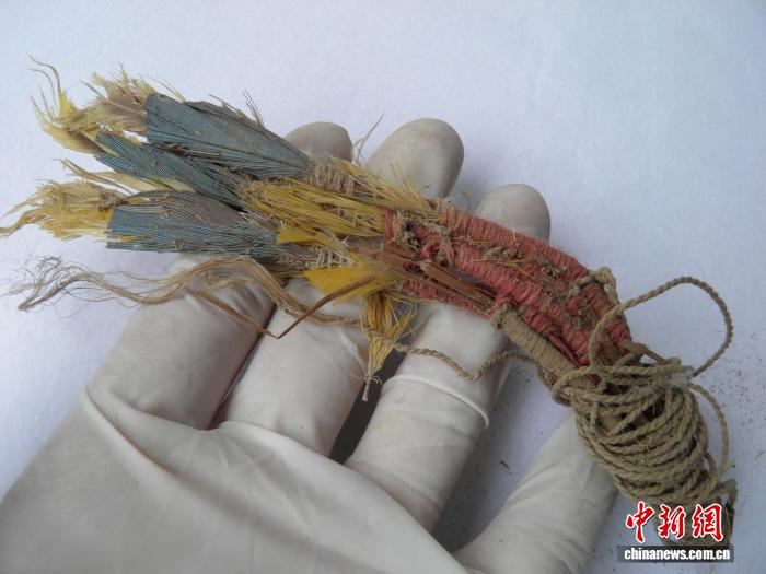 南美古代羽毛贸易如何翻越安第斯山脉？古DNA与空间建模研究揭