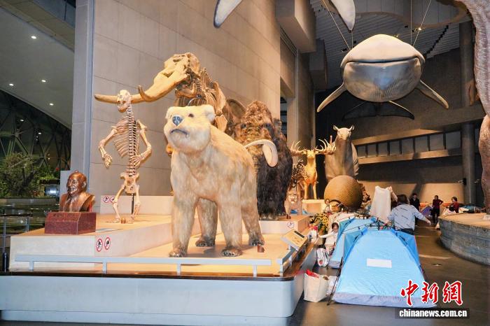 上海自然博物馆开启“奇妙夜” 