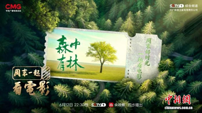 电影文化探访节目《周末一起看电影》走进《森中有林》的东北岁月