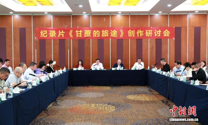 《甘蔗的旅途》热播 业界共探地