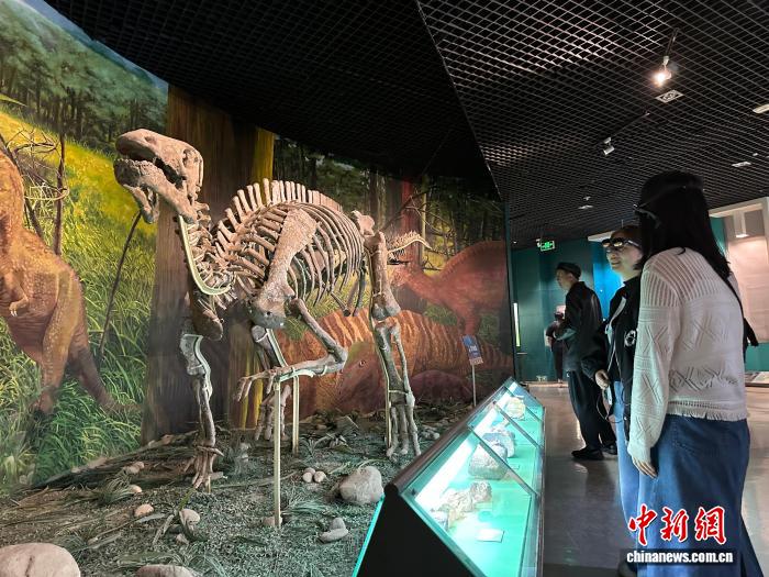 丝路馆藏文物载数字智慧“破茧成蝶”