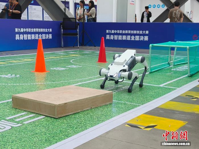 164支队伍齐聚杭州同台竞技 以赛育才赋能未来产业发展