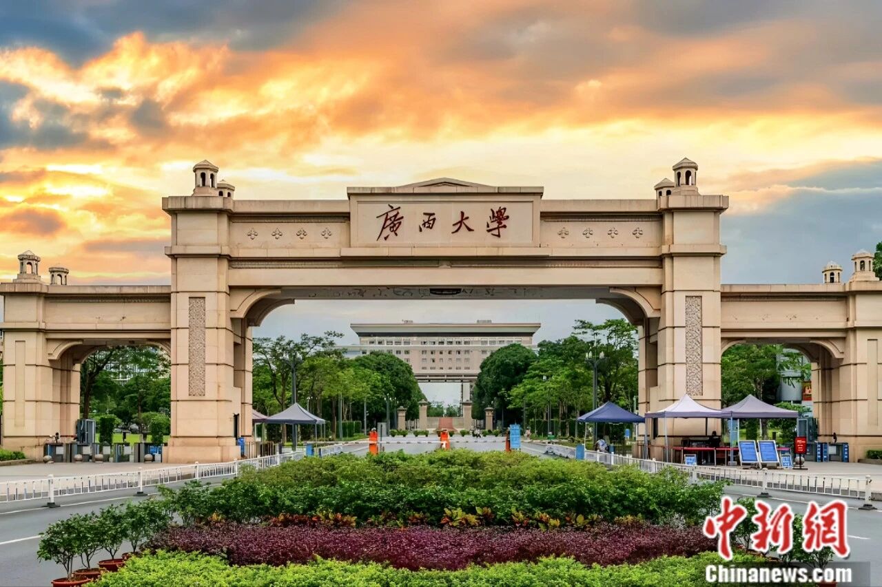 苏林去的这所大学，太宝藏了吧！