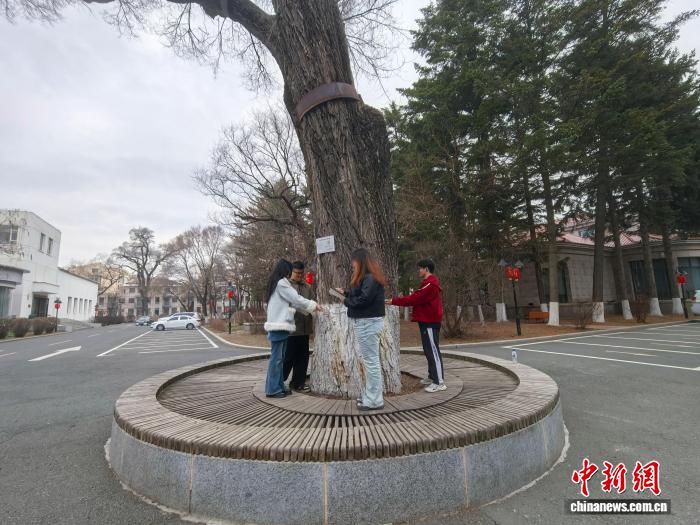 大学生为吉林古树建档 解锁生态