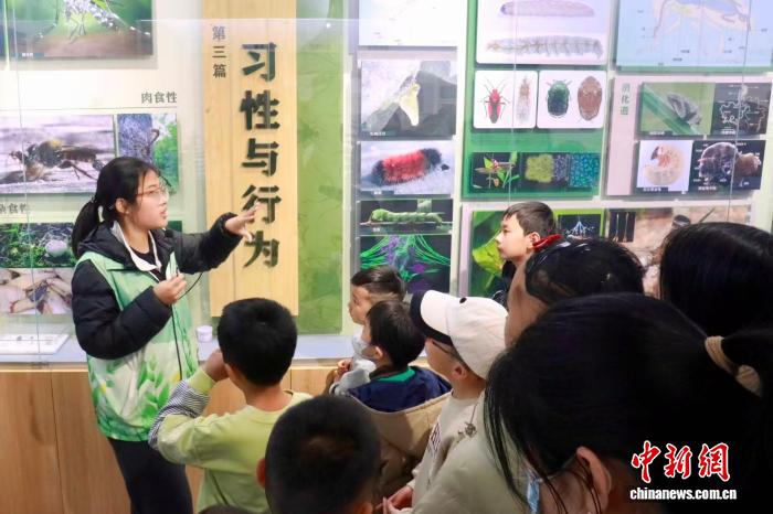 走进沈阳农业大学昆虫博物馆邂逅春日自然之美