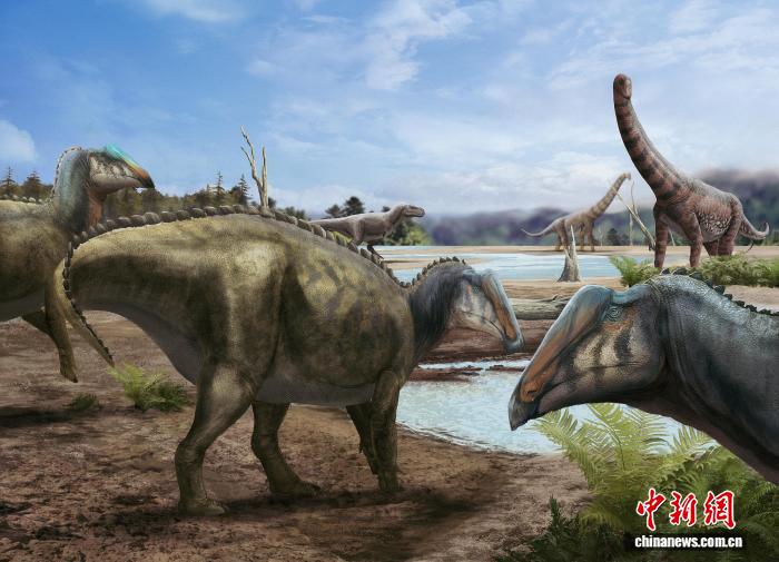 重庆长生黔江龙首次发现“中空头冠” 证明“趋同演化”