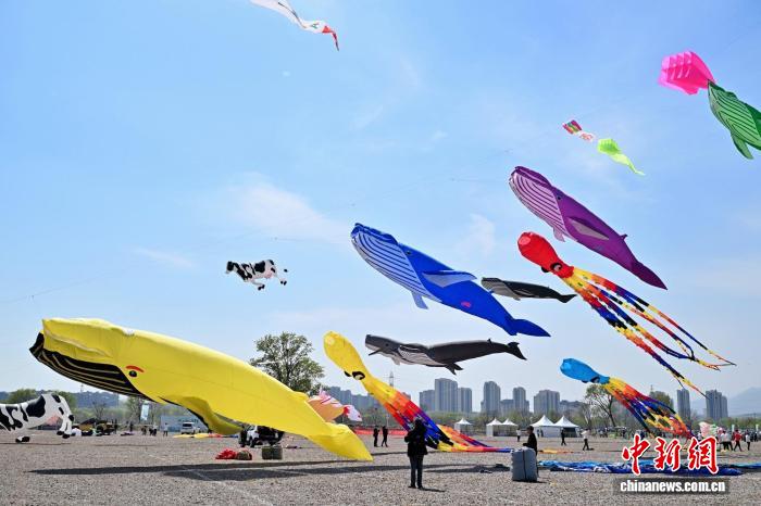 机器人也来放风筝 15支国内外