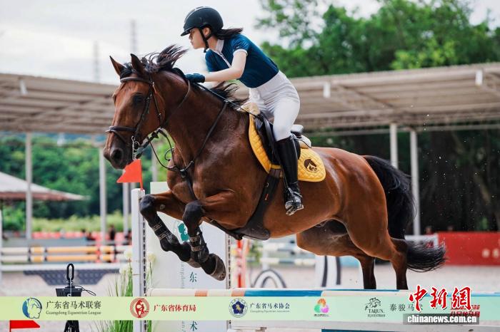 第八届广东省马术联赛总决赛将在广州举行