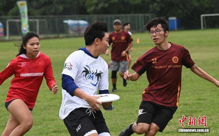 400余名两岸飞盘选手广西梧州同场竞技 共叙同胞情谊