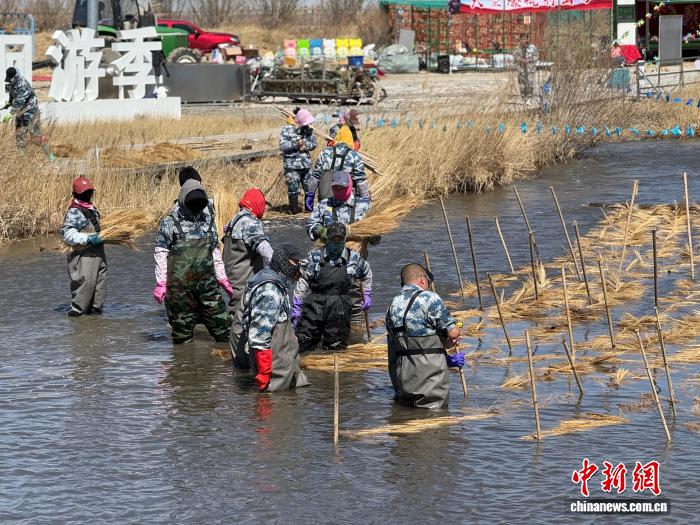 “五一”期间，内蒙古达里湖迎华子鱼洄游季