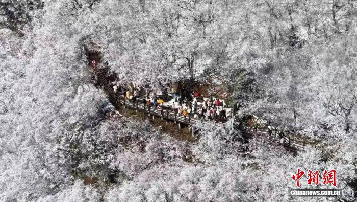 雪落三秦育新机 陕西冰雪经济激活区域动能