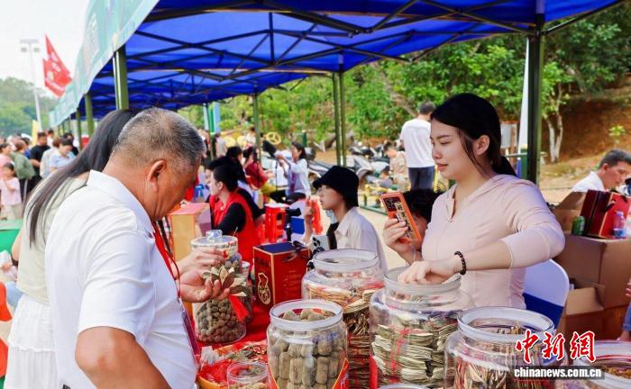 “中国化橘红之乡”广东化州橘香迎客 赋能乡村振兴