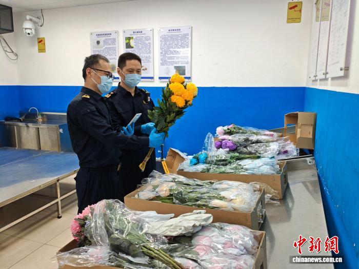 清明寄思 广州进口祭扫鲜切花明显增长