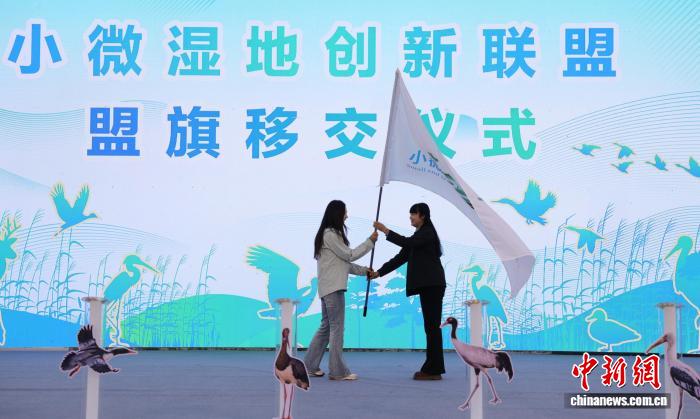 专家学者共探中国小微湿地保护与创新发展路径