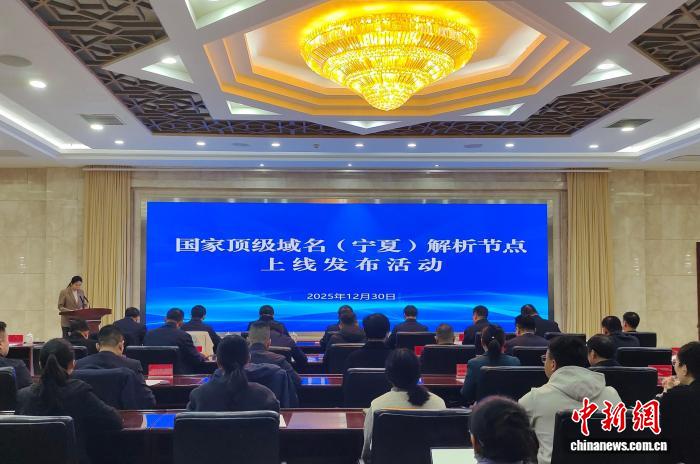 国家顶级域名（宁夏）解析节点上线 银川成西北首个解析服务“双节点”城市