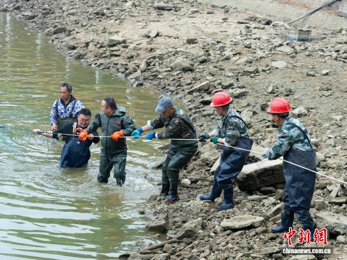 湖南一高校冬捕5000斤鲜鱼 邀全校师生免费吃鱼迎元旦
