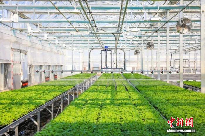 “两个健康”进行时：杭州民企如何铺就“兴村”共富路？