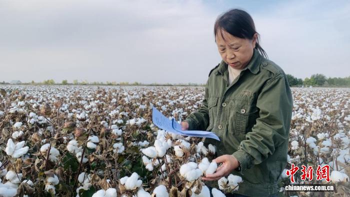 宋美珍：让新疆棉花“高产又优质”