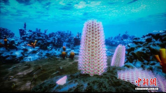 西大团队在陕西汉中发现珍稀化石 实证苔藓动物门起源于寒武纪早