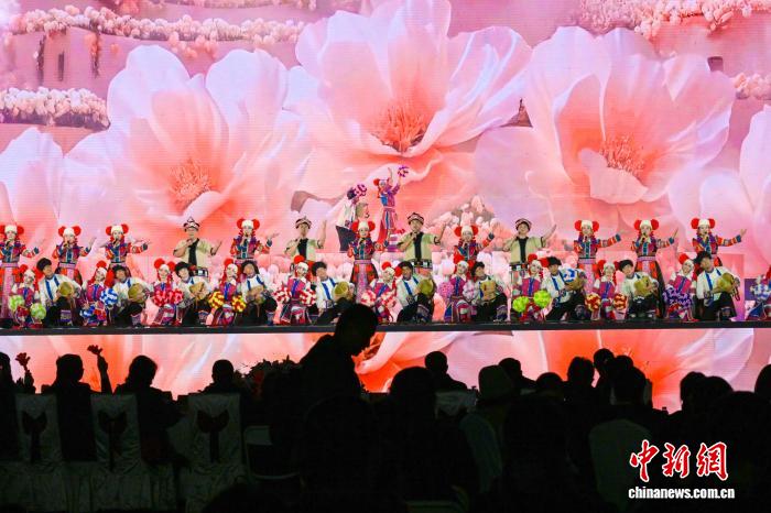 中越携手举行跨国春节联欢晚会暨边民大联欢活动