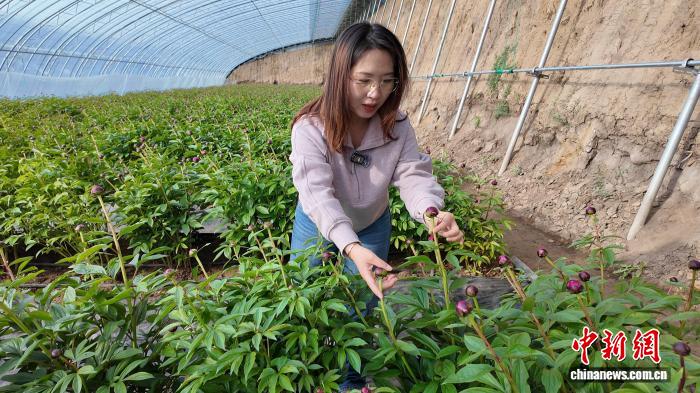 科技赋能“美丽经济” 内蒙古乡村振兴添“花样”引擎